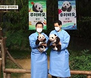 백일 앞둔 쌍둥이 판다…자란 모습과 이름 공개