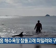 고흥 해수욕장 참돌고래 떠밀려와 구조