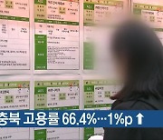 9월 충북 고용률 66.4%…1%p↑