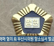 성매매 혐의 前 부산시의원 항소심서 벌금형