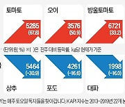 김장철 앞두고 배추·고춧가루값 오름세…걱정 커지는 주부들