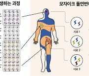 국내 연구진, 암 유발하는 ‘모자이크 변이’ 세계 최초 검사 물질 개발