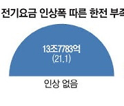 설비투자 13조·이자 5조 '눈덩이' 연말 한전채發 채권시장 혼란 예고