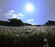 완연한 가을, 전북 낮 21~23도 구름…주말 곳곳 비