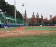 김해 생활체육 야구·수영·축구대회 잇따라 개최