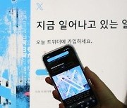 엑스, 유럽 '가짜뉴스 규제법' 첫 제재 대상되나…‘연간 수익 6%’ 과징금 낼 위기