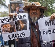 Argentina Elections