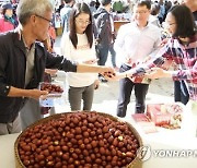 보은 대추축제 개막…"흉작에도 대추가격 작년 그대로"