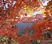 내륙 중심 일교차 커…오늘도 구름 많지만 비는 내일부터