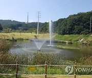 [군포소식] 초막골생태공원, 환경부 '우수환경교육프로그램' 선정