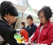 커피 찌꺼기와 볏짚으로 키우는 버섯