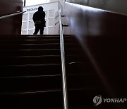 취업의 계단을 올라