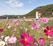 가을을 느끼며