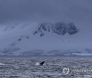 APTOPIX Ocean Fisheries Antarctic Krill Fishing