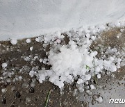 충북도내 요란한 비…음성·진천 일부지역 손톱만한 우박 떨어져