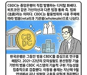 [세컷칼럼] 너무 성공해도, 실패해도 안 되는 CBDC의 얄궂은 운명