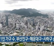 부산 1인 가구 수, 부산진구-해운대구-사하구 순