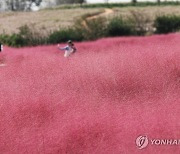 [내일날씨] 전국 흐리고 구름 많아…서울 낮 최고 21도