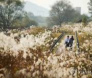 생태감성으로의 초대…낮과 밤이 즐거운 화포천습지 생태축제