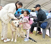 반려견과 함께라서 행복한 시간