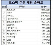 코스닥 주간 개인 순매도 1위 ‘포스코DX’