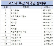 코스닥 주간 외국인 순매수 1위 ‘포스코DX’