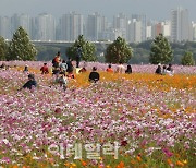 [포토]도심에서 즐기는 가을