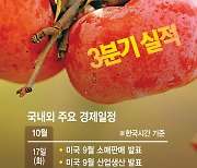 고금리·전쟁 '대외 변수' 진정 기대…韓 증시, 실적 장세 전망[주간증시전망]