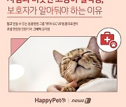 "고양이 혈액형, 알고 보면 사람과 비슷"…헌혈도 한다[펫카드]