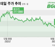 편의점은 불황에 강하다더니... 실적 부진에 주가 고전