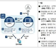 글로벌 IB 불법 공매도 최초 적발…"1000만 동학개미 불신 초래"[문답]