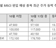 MSCI 지수 편입 촉각...포스코DX 상승, '3수생' 금양 긴장