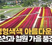 [영상] "단풍이 내려옵니다"