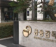 카카오 주가 급락 이유 있었다..홍콩 IB 2곳, 560억 원 불법 공매도 적발