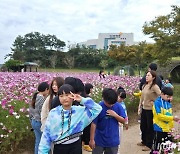 코스모스 가득한 해남공룡박물관