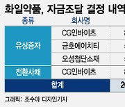 CG인바이츠, 다시 화일약품 최대주주 올라설까