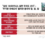 '美笑'에도 못 웃는 K-반도체…중국 훔쳐보기·대만 몸싸움에 피멍