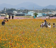 중부내륙 아침기온 5도 안팎으로 뚝…일교차 유의