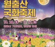 '1억 송이로 단장' 영암 월출산 국화축제 28일 막 오른다