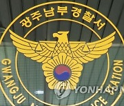 '쿵' 고급 외제차로 고의사고…'고액 보험금' 노린 일당 송치