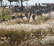 하늘공원 서울억새축제 열려