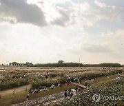 서울억새축제에서 가을 만끽