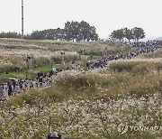 서울억새축제 찾은 시민들