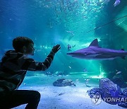 FRANCE LEISURE AQUARIUM