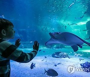 FRANCE LEISURE AQUARIUM