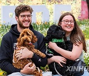 AUSTRALIA-CANBERRA-FLORIADE-DOGS