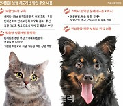 우리집 댕댕이 감기치료 한번에 8만원…이젠 보험금 받는다