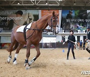 한국마사회 '일학습병행제 지원사업' 승마 분야로 확대