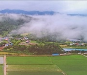 '유기농 생태마을 육성 박차'...전남도, 8개소 신규 지정