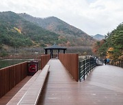 공공 건축을 입은 미래 도시...미리 보는 수성 국제비엔날레